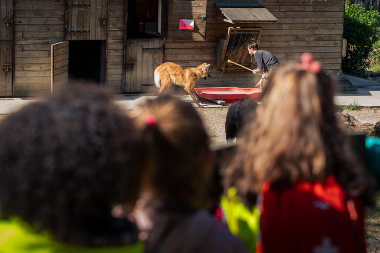 Zoo de Lille (parc Zoologique de Lille), séminaire d'entreprise