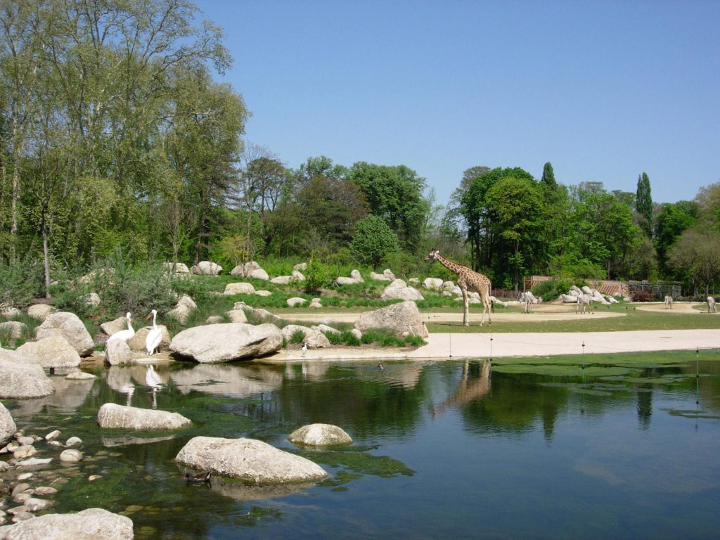 Zoo de Lyon / Jardin Zoologique, séminaire d'entreprise, Rhône