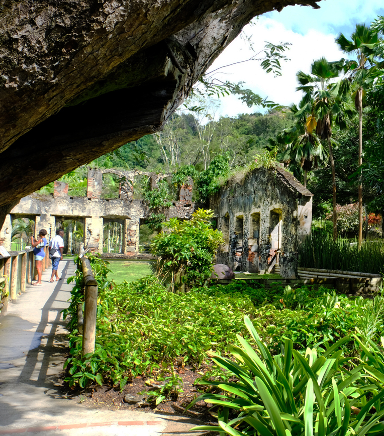 Zoo de Martinique, événement d'entreprise Martinique