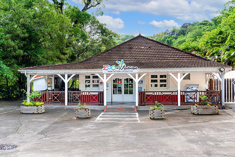 Zoo de Martinique, séminaire d'entreprise, Martinique