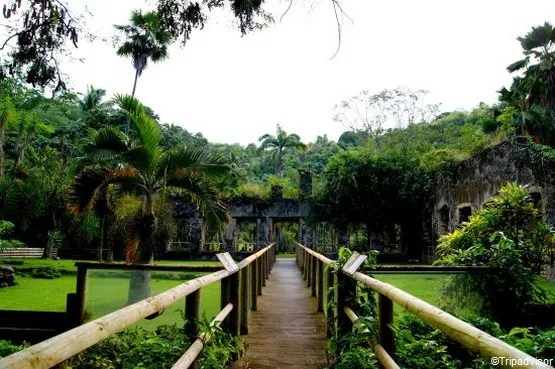 Zoo de Martinique, séminaire d'entreprise, Martinique