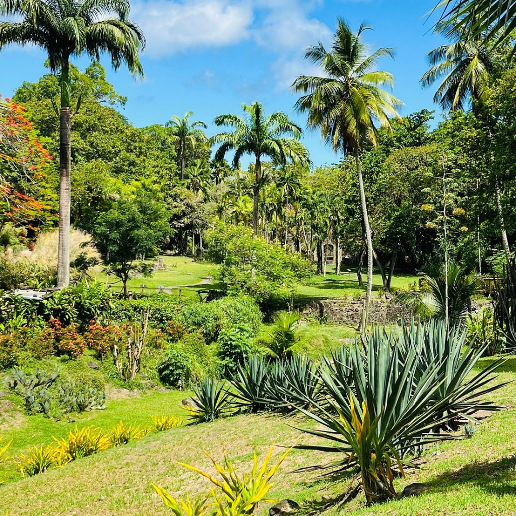 Zoo de Martinique, espace pour événement d'entreprise, Martinique