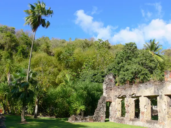 Zoo de Martinique, lieu d'événement d'entreprise en Martinique
