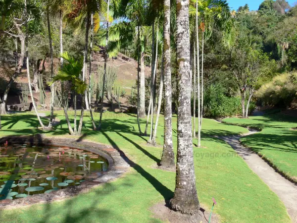 Zoo de Martinique, espace séminaire pour entreprise en Martinique