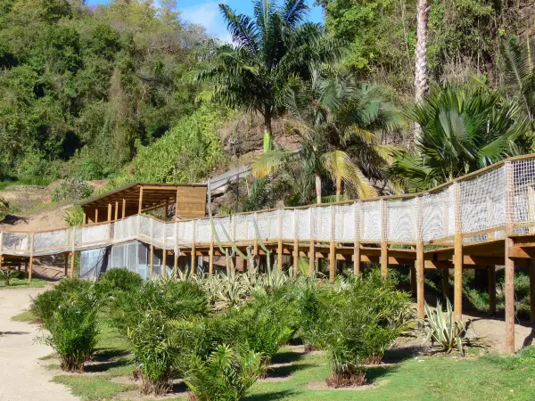 Zoo de Martinique, événement d'entreprise en Martinique