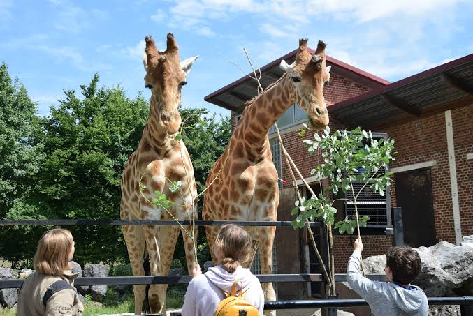 Zoo de Maubeuge, espace pour événement d'entreprise, Nord