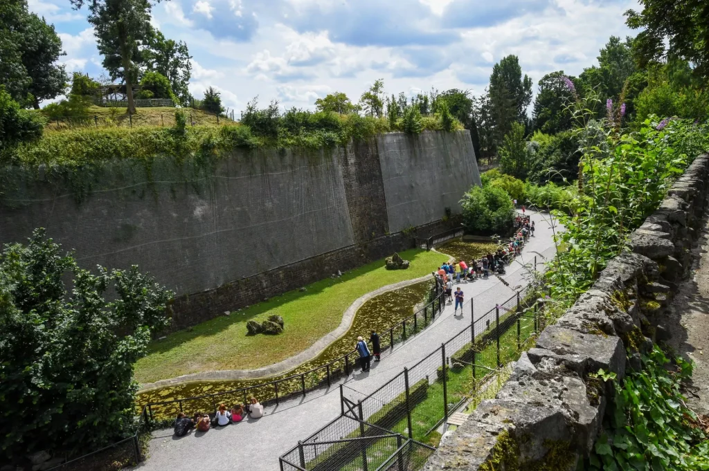 Zoo de Maubeuge, lieu d'événement d'entreprise en Nord