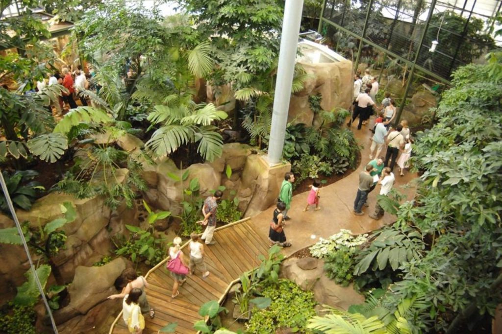 Zoo de Montpellier (parc de Lunaret), espace pour événement d'entreprise, Hérault