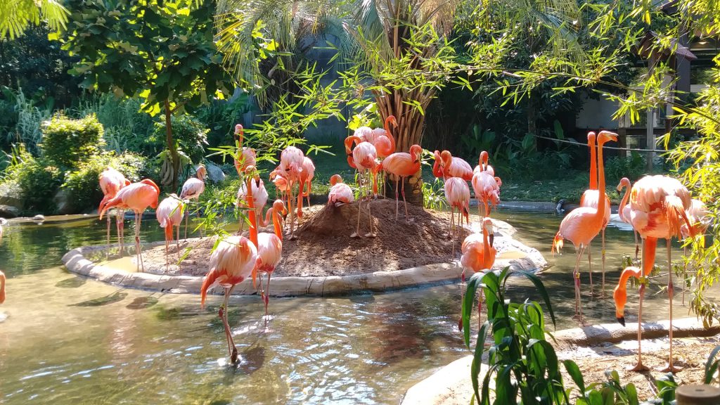 Zoo de Mulhouse, séminaire d'entreprise, Haut-Rhin