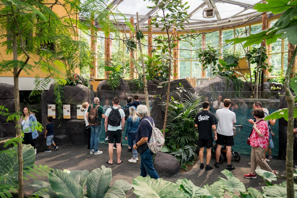 Zoo de Mulhouse, espace séminaire pour entreprise en Haut-Rhin