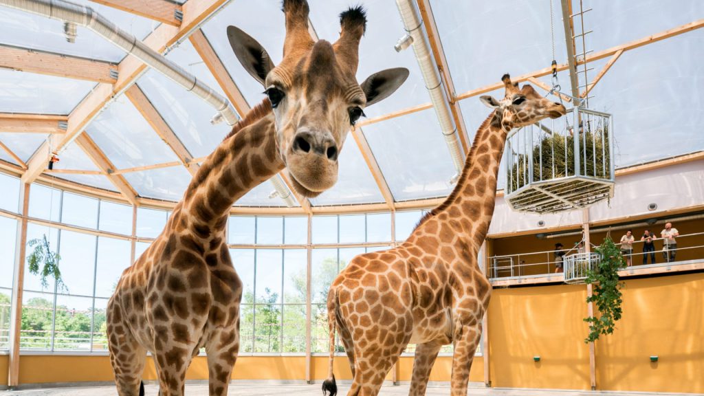 Zoo de Mulhouse, événement d'entreprise en Haut-Rhin