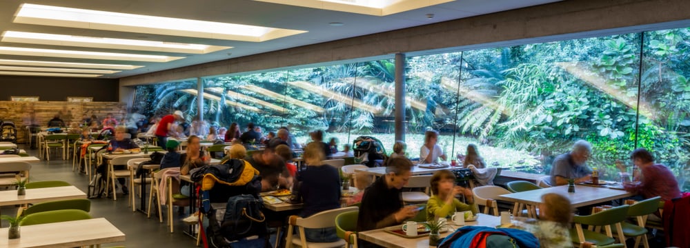 Zoo de Zurich & Halle Masoala, séminaire d'entreprise