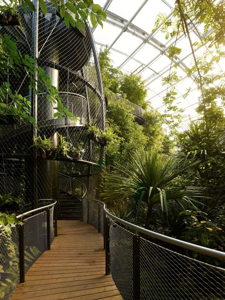 Zoo de Zurich & Halle Masoala, espace séminaire pour entreprise