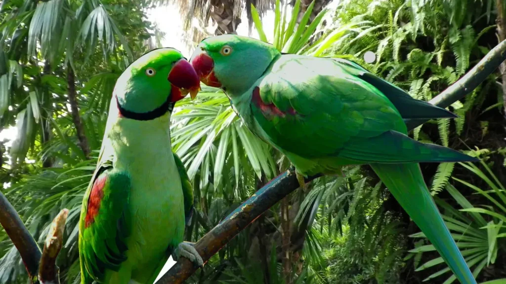 Zoo de Zurich & Halle Masoala, événement d'entreprise