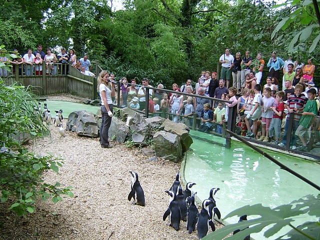 Zoo des Sables d’Olonne, séminaire d'entreprise, Vendée
