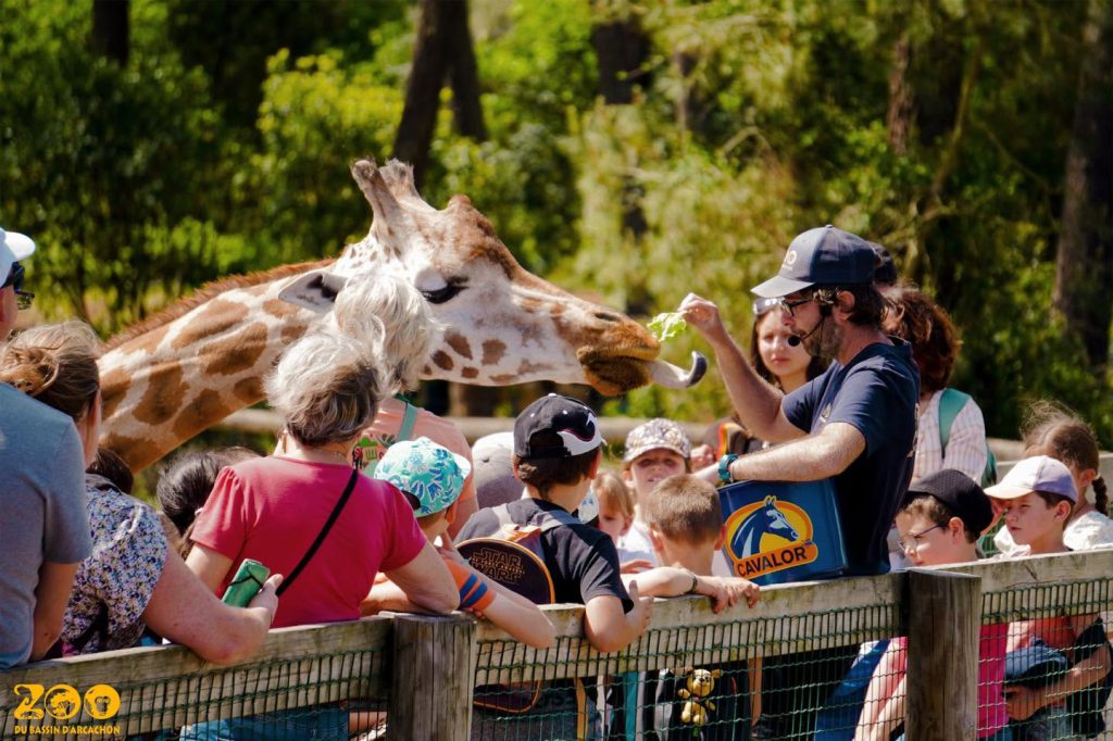Zoo du Bassin d’Arcachon, séminaire d'entreprise, Gironde