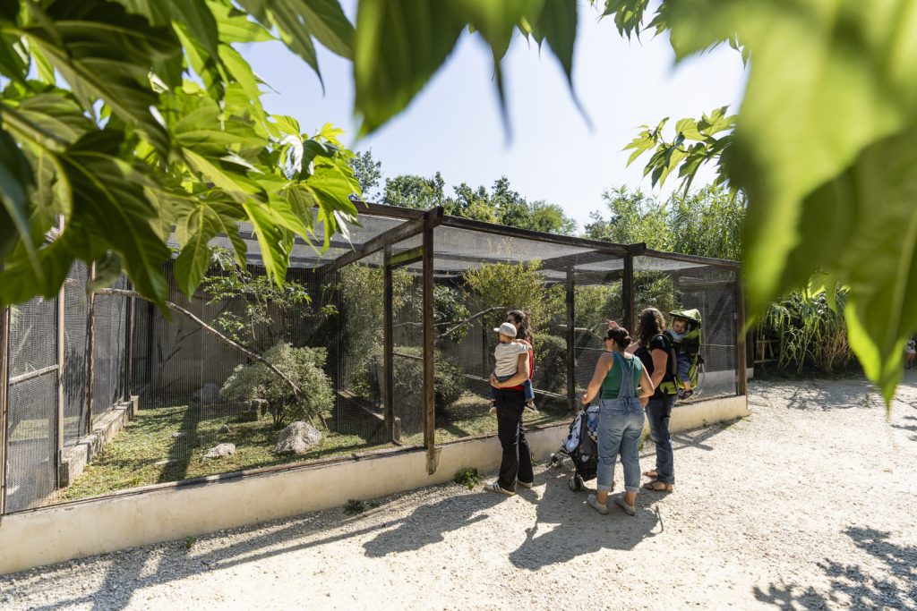 Zoo d'Upie, événement d'entreprise en Drôme