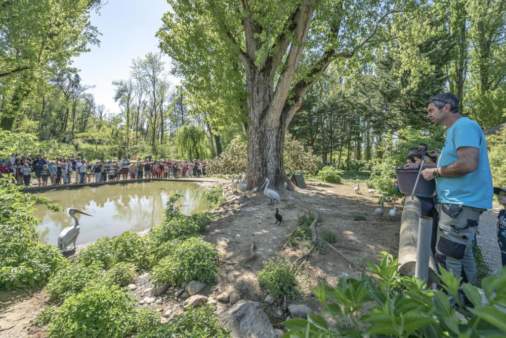 Zoo d’Upie, espace pour événement d'entreprise, Drôme