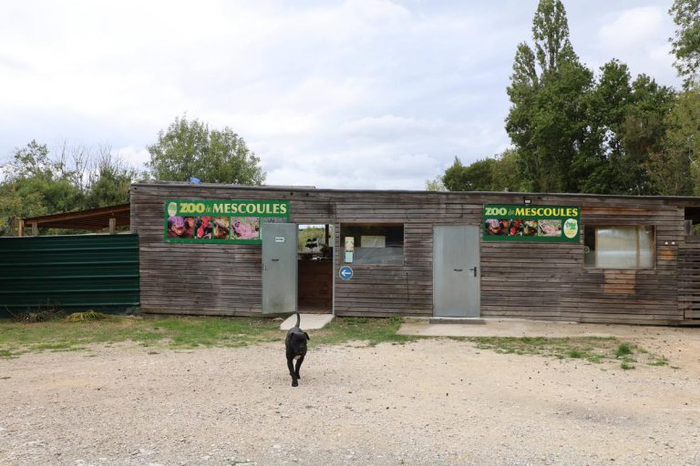 Zoo Refuge de Mescoules, événement d'entreprise Dordogne