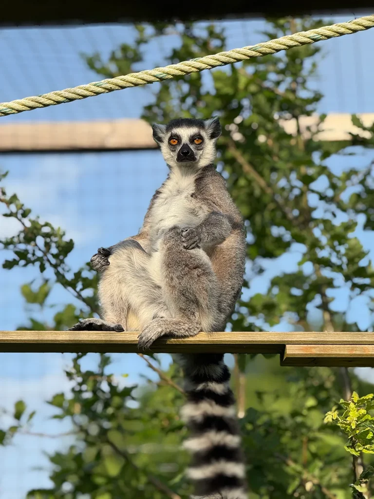 Zoo Refuge de Mescoules, séminaire d'entreprise, Dordogne