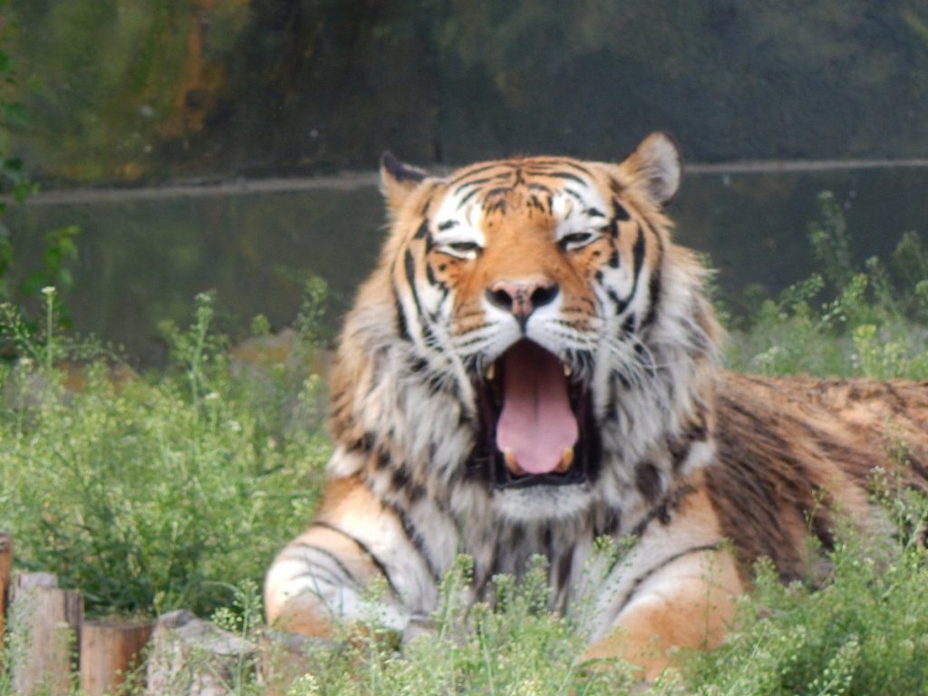 Zoo Sofia, espace pour événement d'entreprise