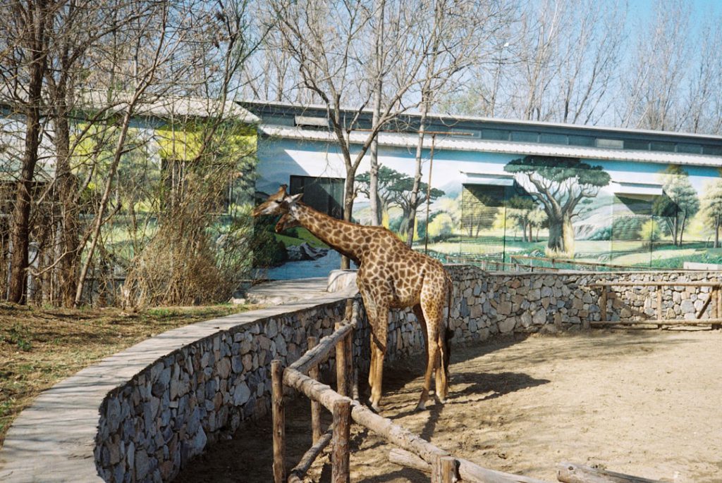 Zoo Sofia, lieu d'événement d'entreprise