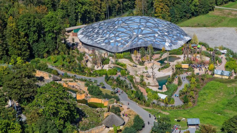 Zoo Zürich, événement d'entreprise 