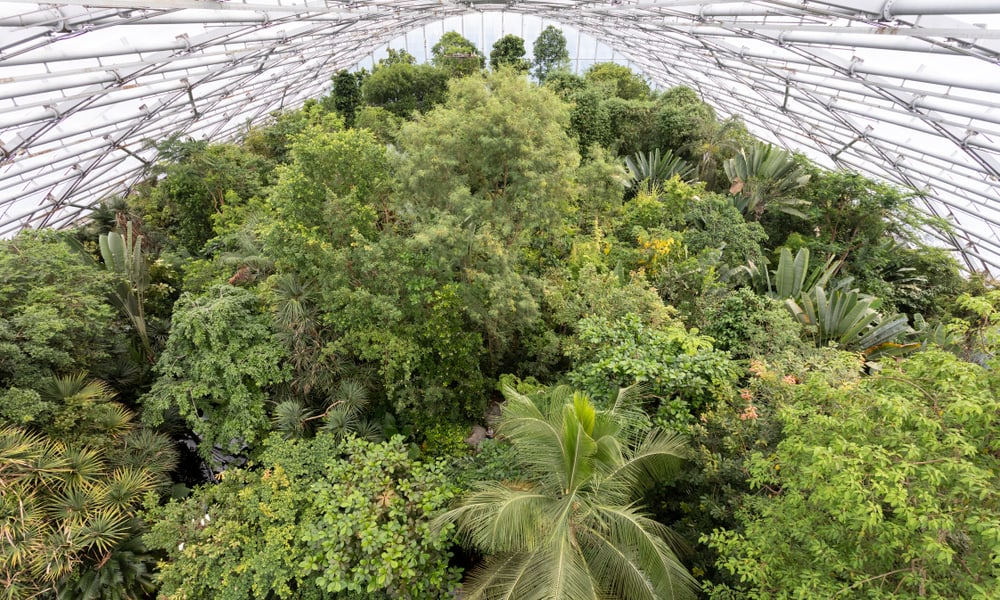 Zoo Zürich, séminaire d'entreprise