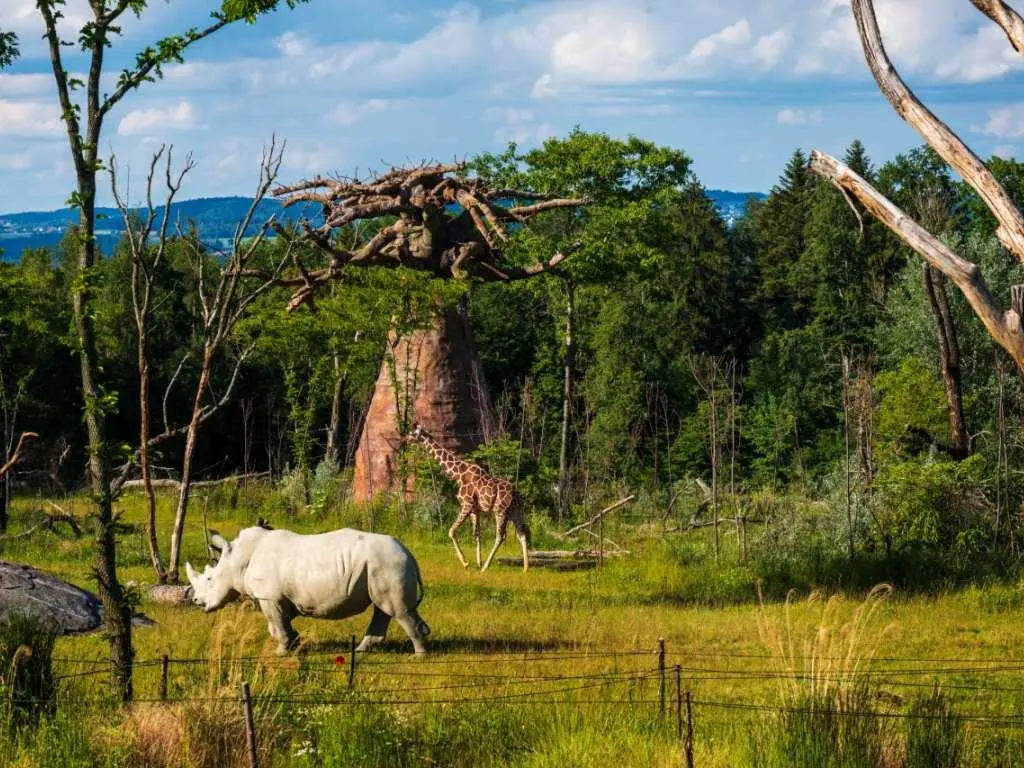Zoo Zürich, espace pour événement d'entreprise