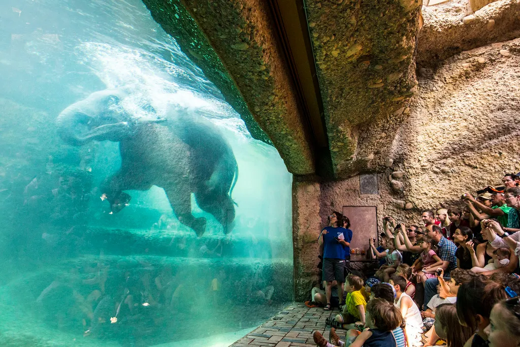 Zoo Zürich, lieu d'événement d'entreprise