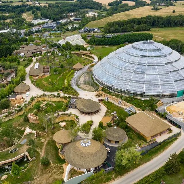 Zooparc de Beauval, espace séminaire pour entreprise en Loir-et-Cher