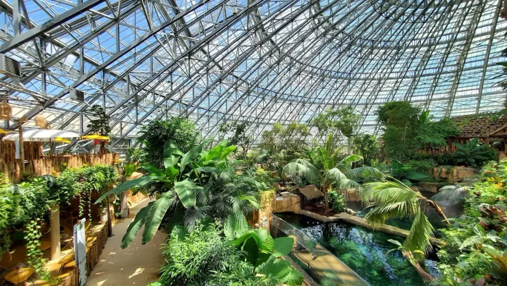 Zooparc de Beauval, événement d'entreprise en Loir-et-Cher