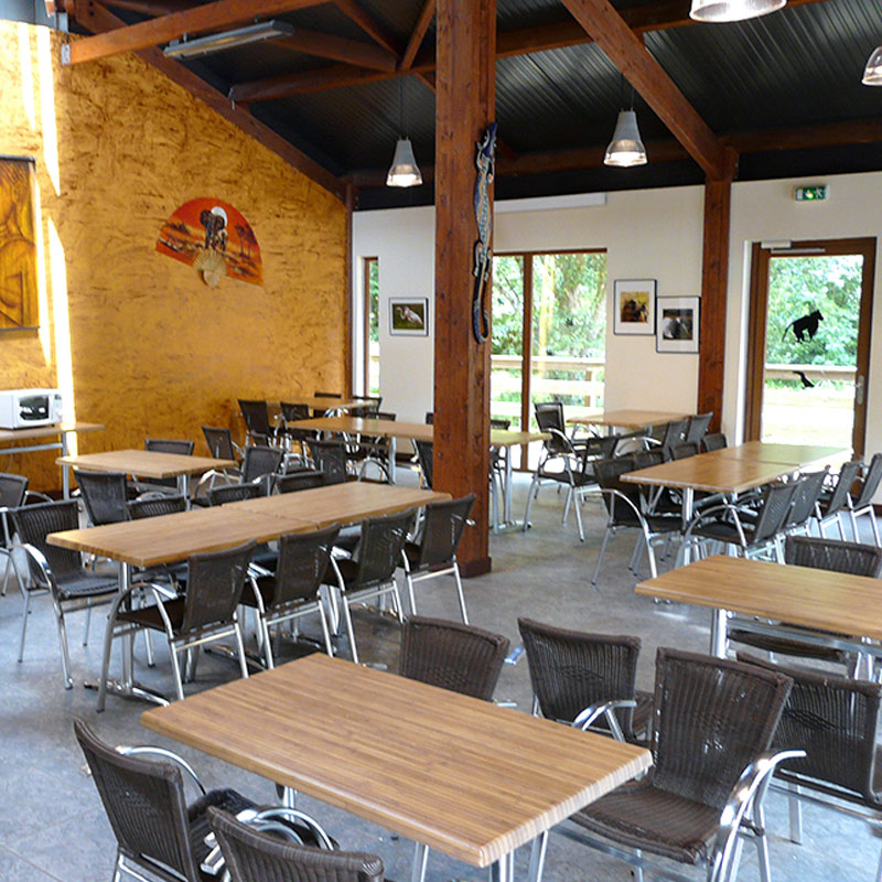 Zooparc de Trégomeur, lieu d'événement d'entreprise en Côtes-d'Armor