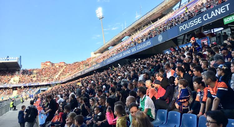 MHSC, expérience & hospitalités d'entreprise, Montpellier