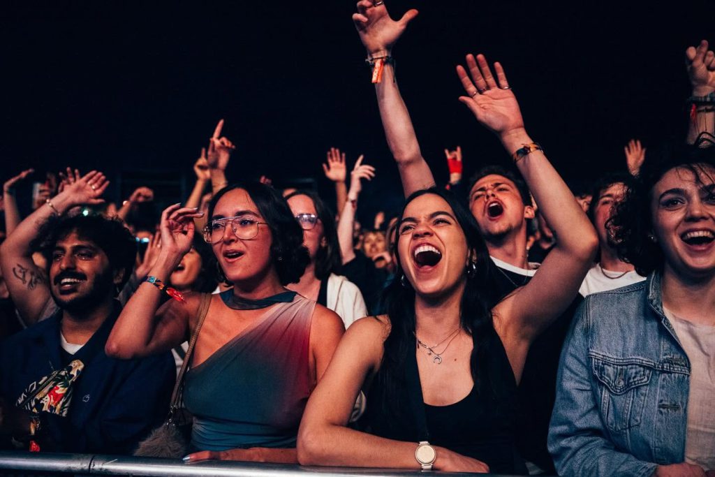 Rock en Seine — soirée d’entreprise